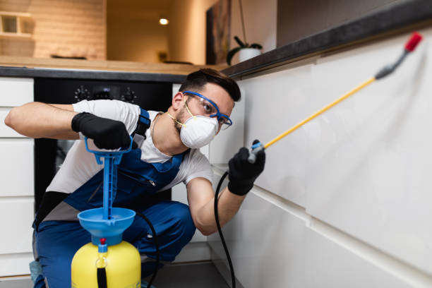 Best Pest Prevention Services  in Peekskill, NY