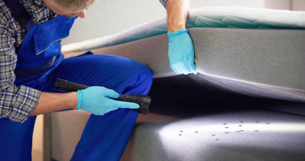 Trusted Peekskill, NY Pest Control Experts