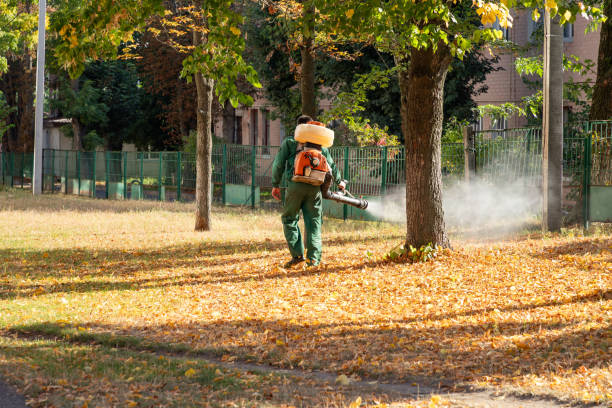 Reliable Peekskill, NY Pest Control Solutions